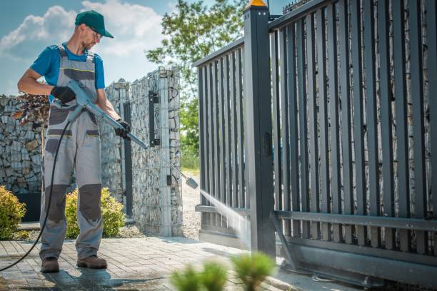 Best Gutter Cleaning  in Delta Junction, AK